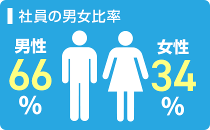 社員の男女比率